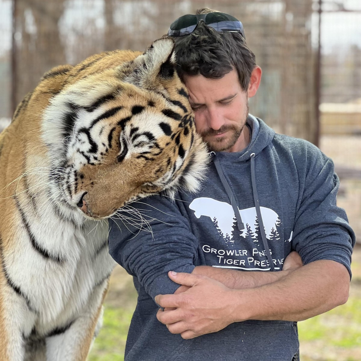 The Circus Big Cats of ShowMe Tigers