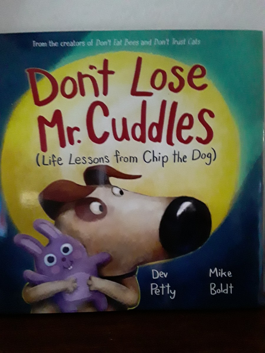 Dog's Favorite Toy Must Never be Lost in Adorable Picture Book