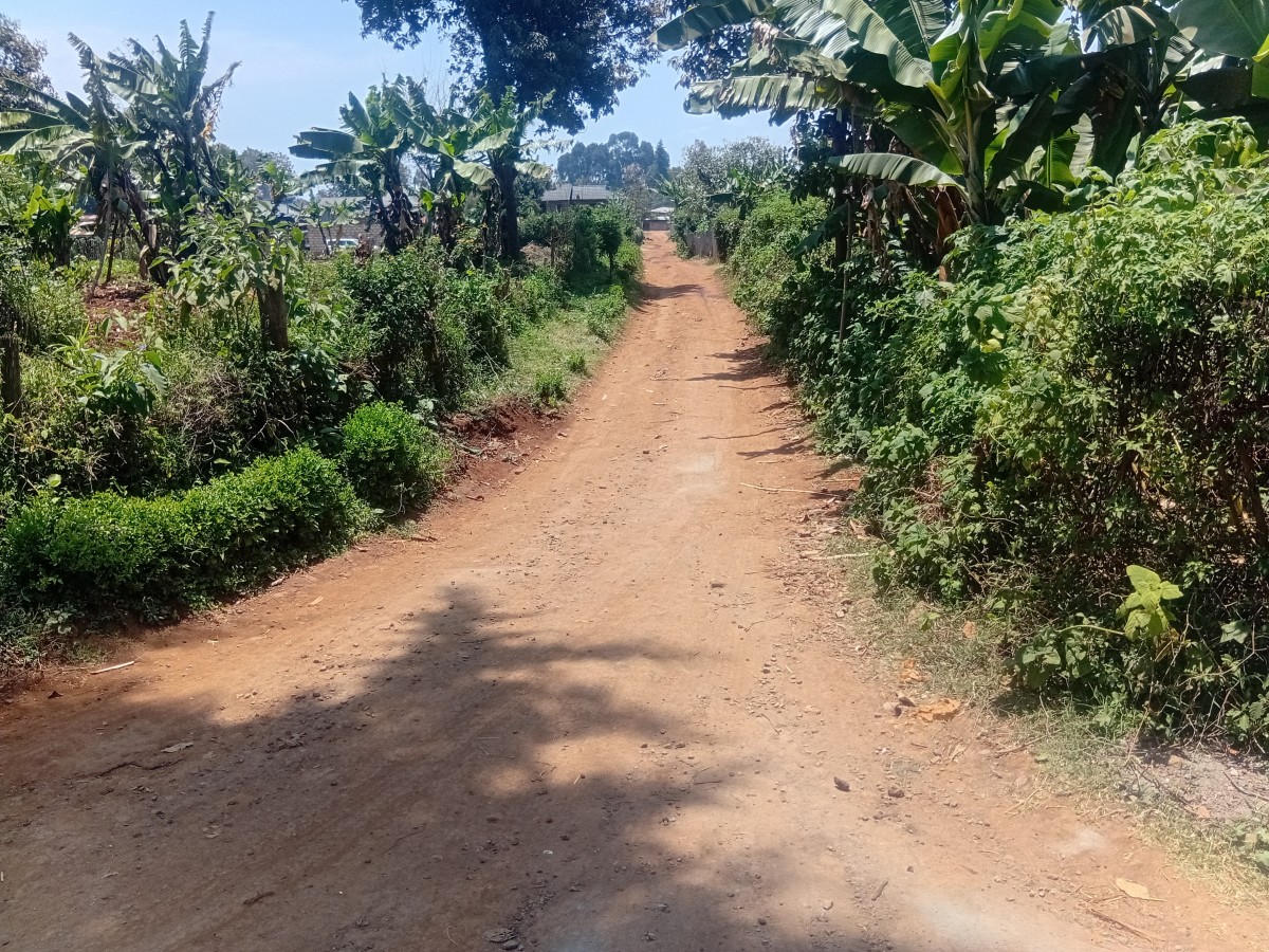 Meru’s Kigure Residents in 10-Year Standoff Over Road Expansion