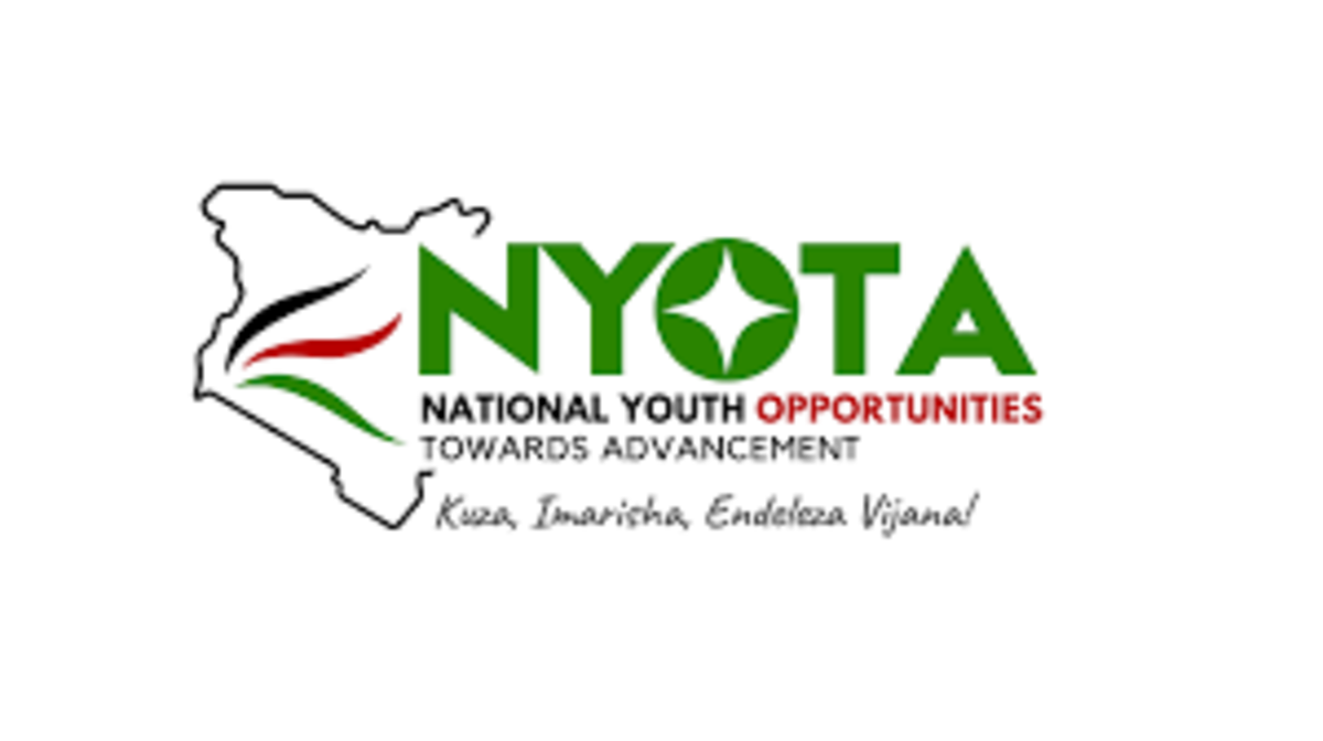 Meru Youth Urged to Apply for NYOTA Project as Government Reopens Applications