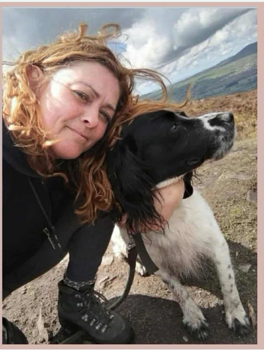 In Loving Memory of Buck – An Ex-Gun Dog Who Became the Best Family Pet