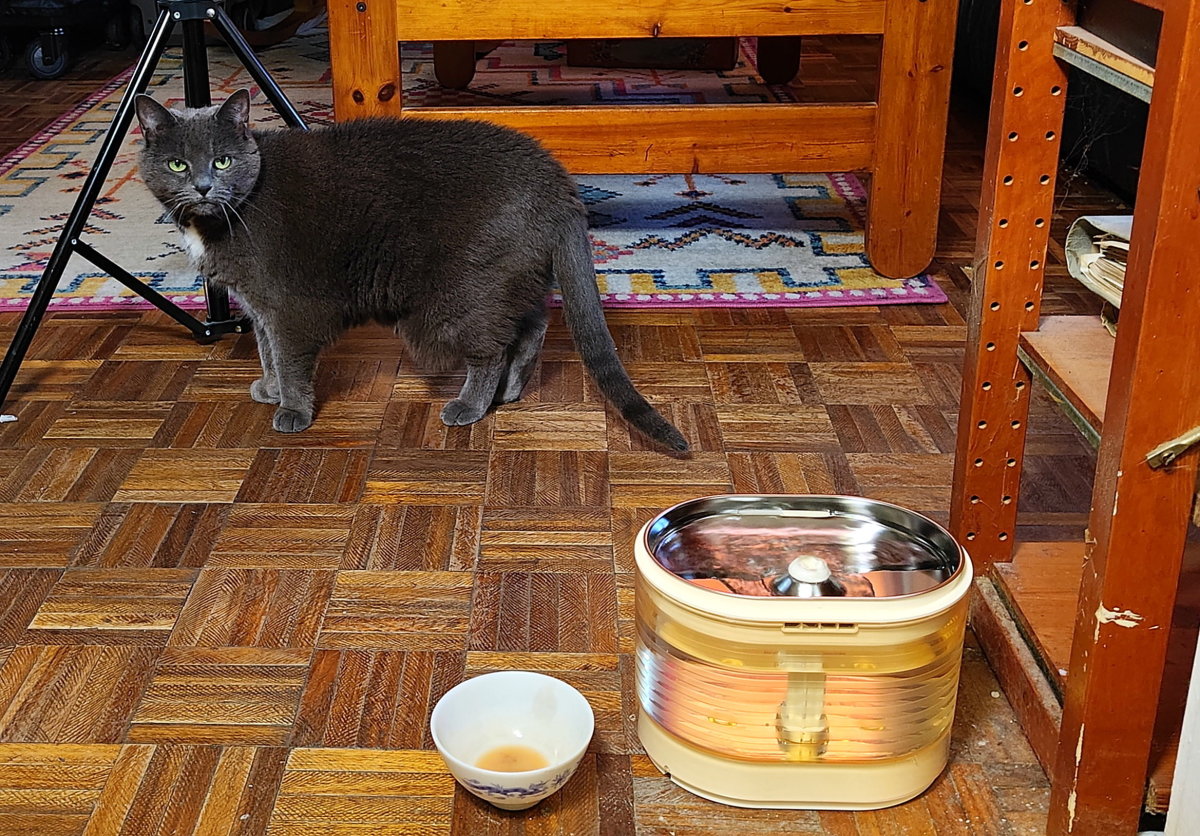 Review of the Enabot EBO ROLA Battery-Operated Cat Water Fountain