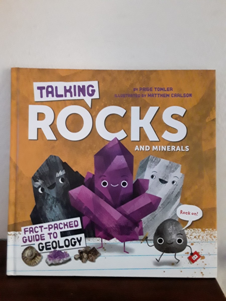 Geology for Young Scientists Who Love Rocks in 2 Picture Books