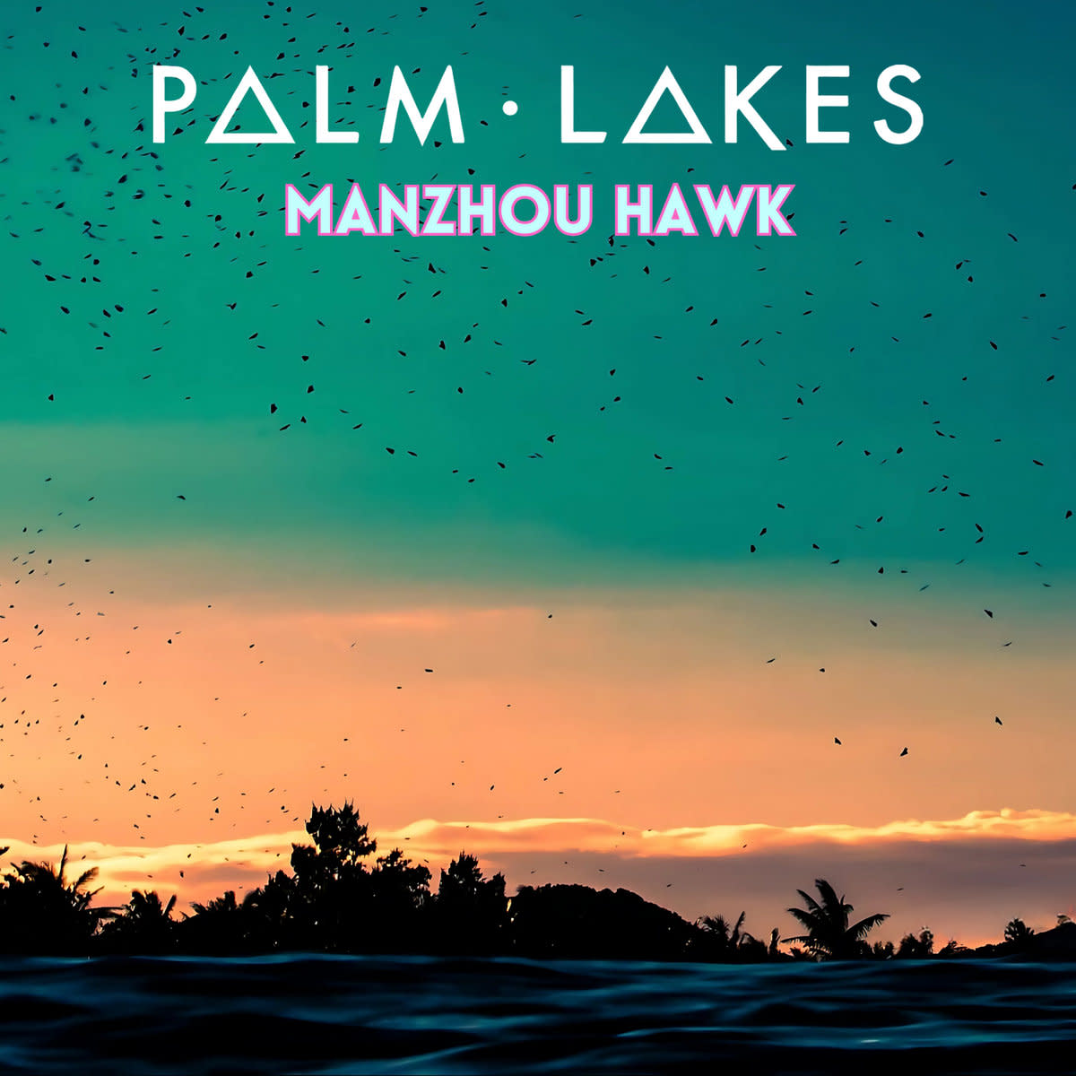 Synth Single Review: “Manzhou Hawk’’ by Palm Lakes