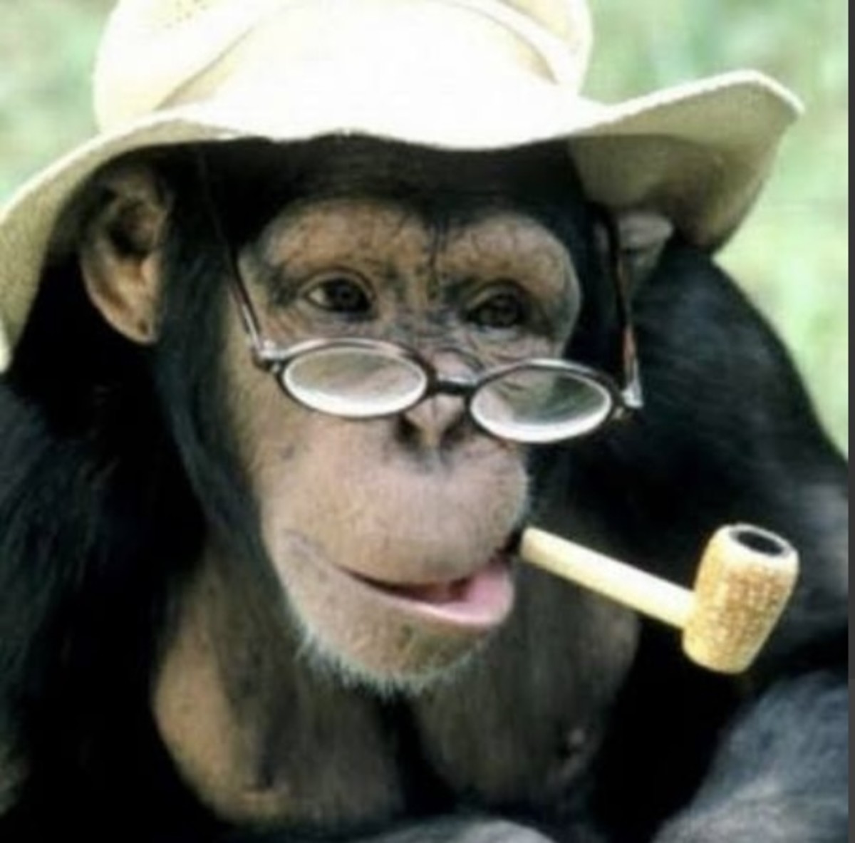 Perry’s Dull No More