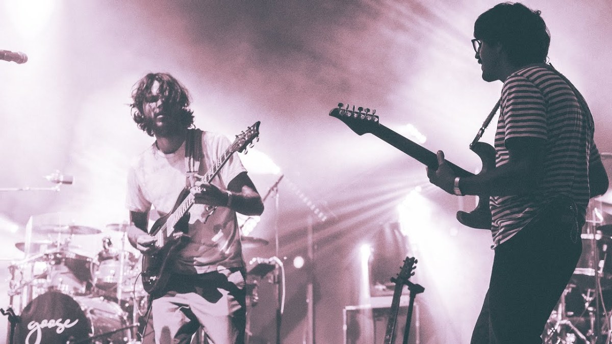 50 Best Bands Like Goose