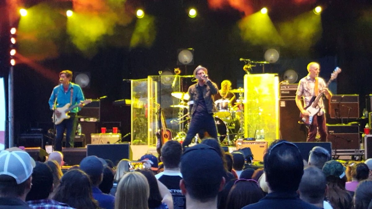 50 Best Bands Like Gin Blossoms