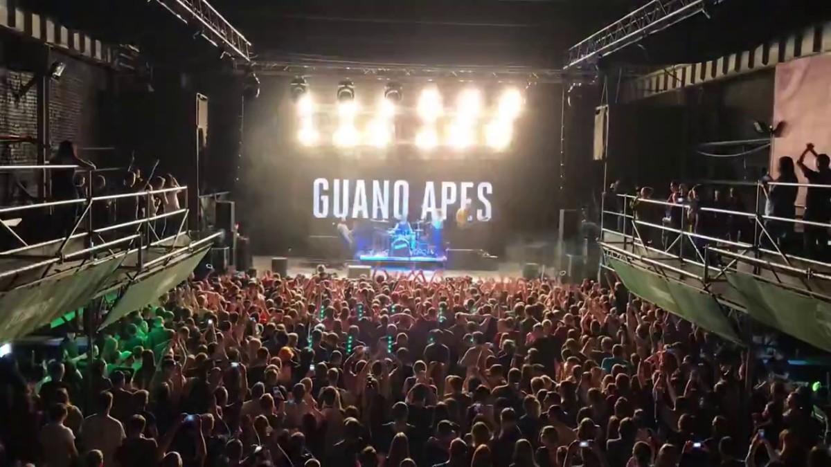 50 Best Bands Like Guano Apes