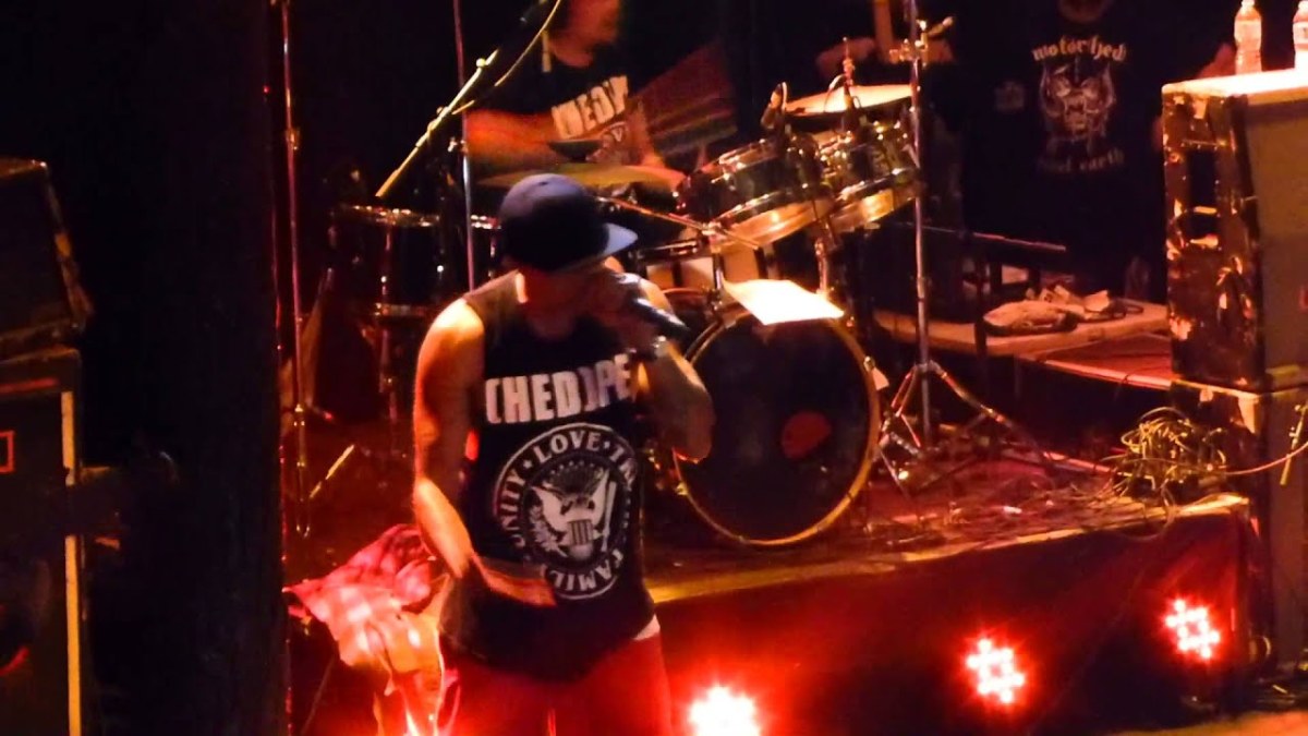 50 Best Bands Like Hed PE