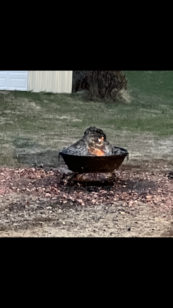 A Rare Busy Day has me Second Guessing Retirement