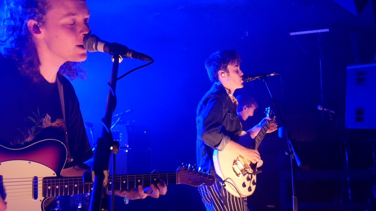 50 Best Bands Like Hippo Campus