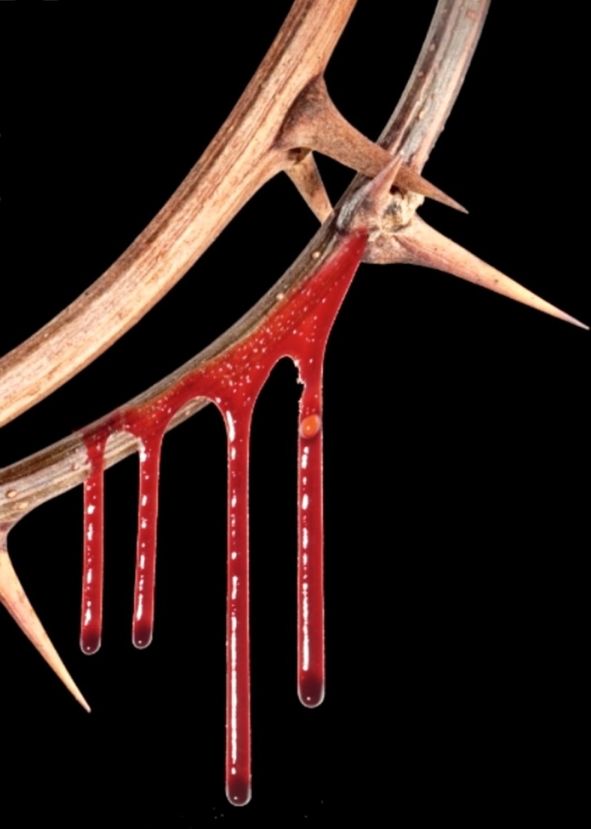 Drawn Near by the Blood of Christ