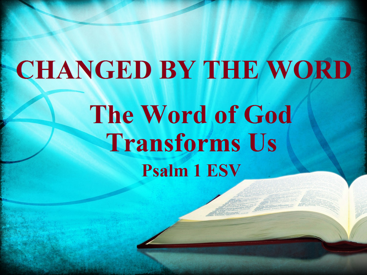 Thanks to the Change By the Word Of God I'm Not What I Used to Be- I used to be.....But Now