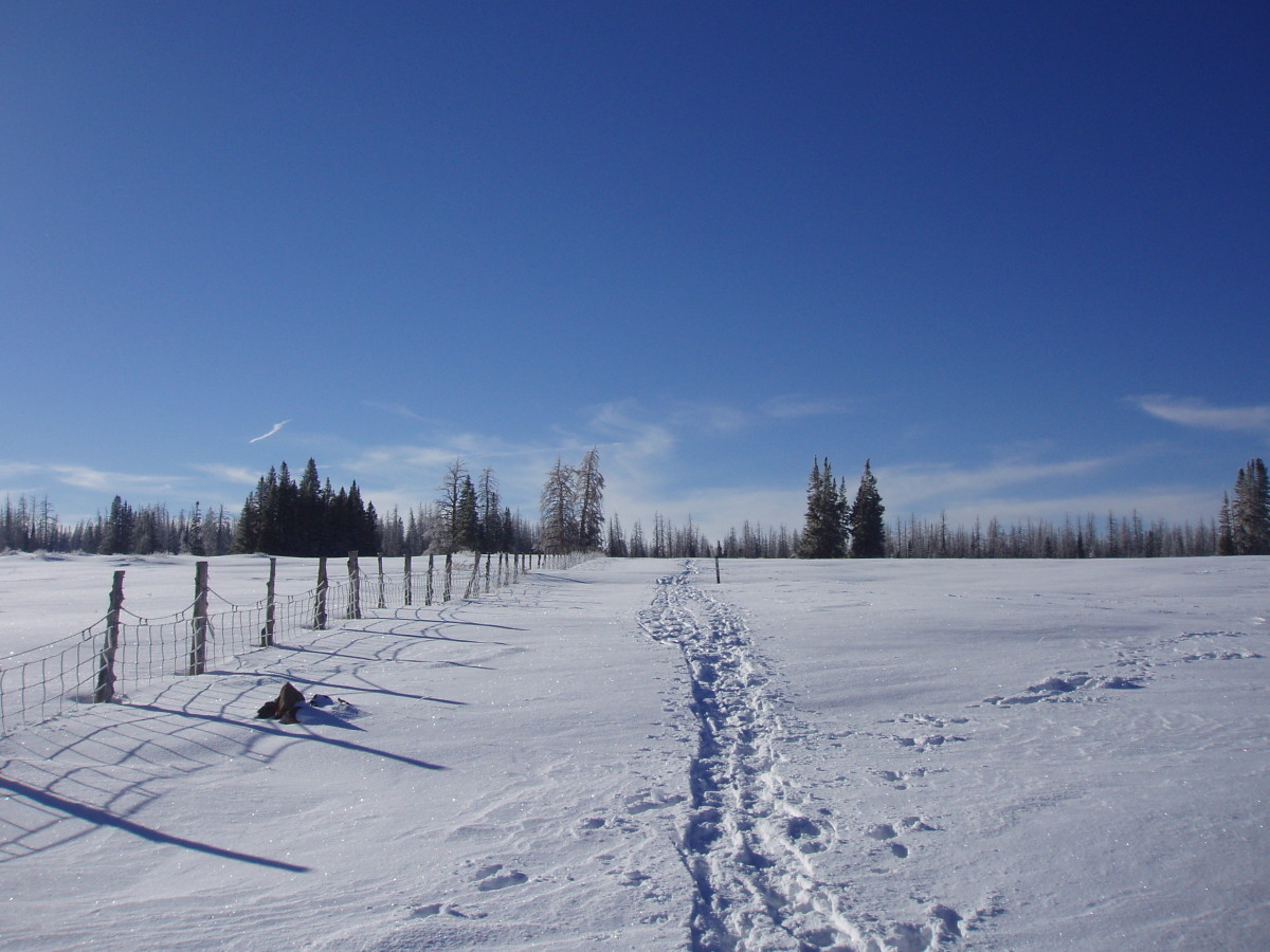 Learning to retrace my tracks is newsworthy