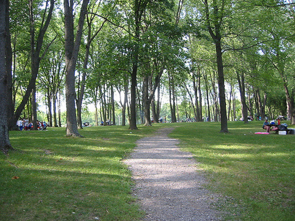 Potato Creek State Park