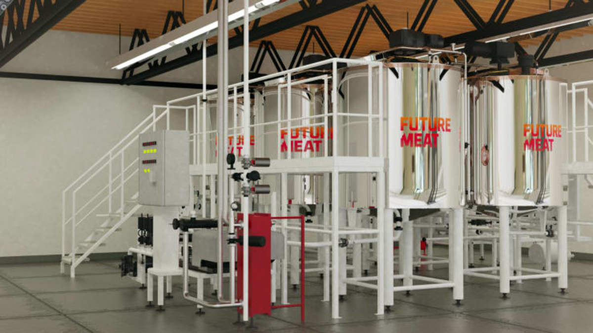 Artificial Food Will It Be Enough? HubPages