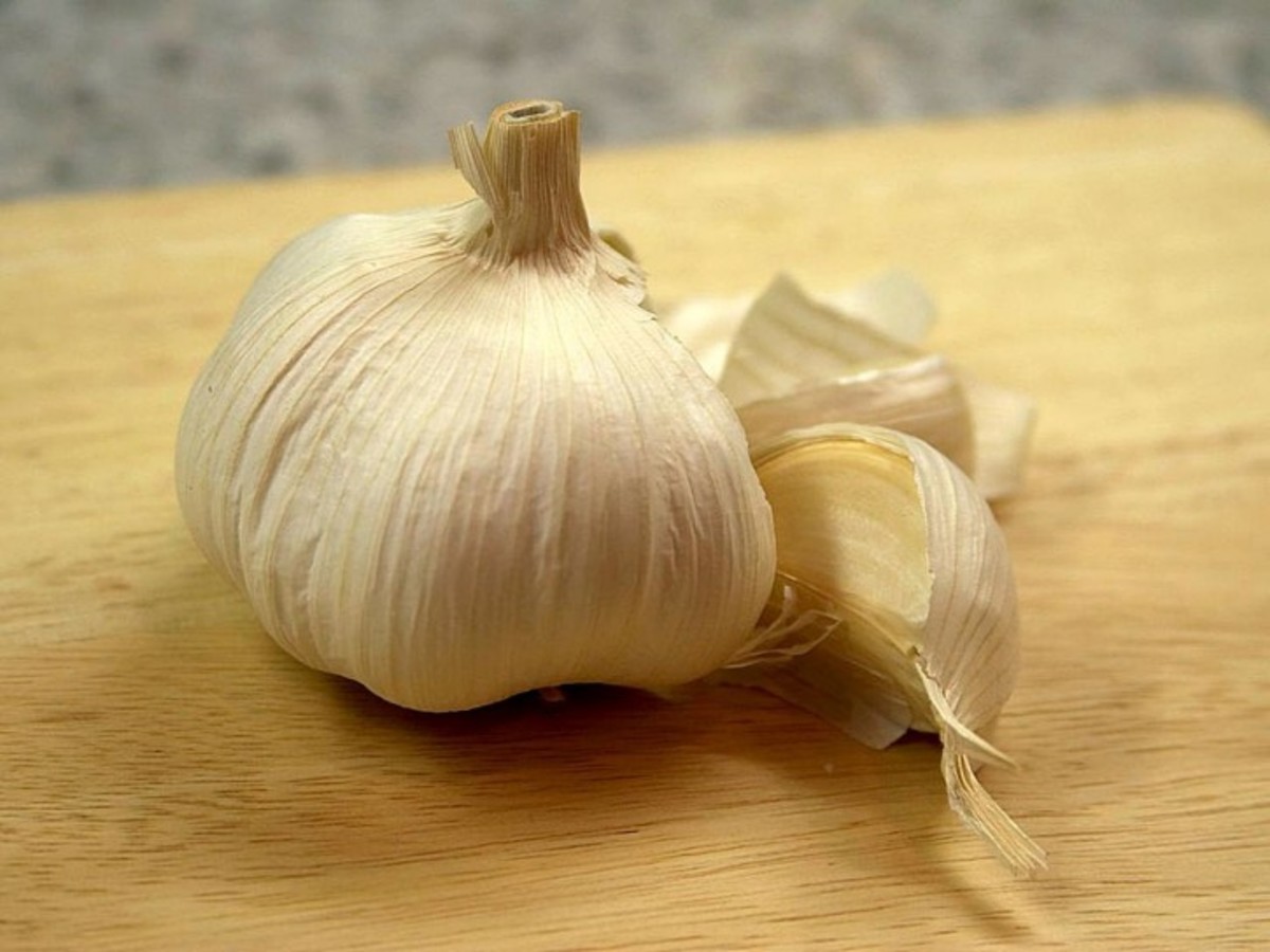 Garlic Medicinal Fact and Folklore