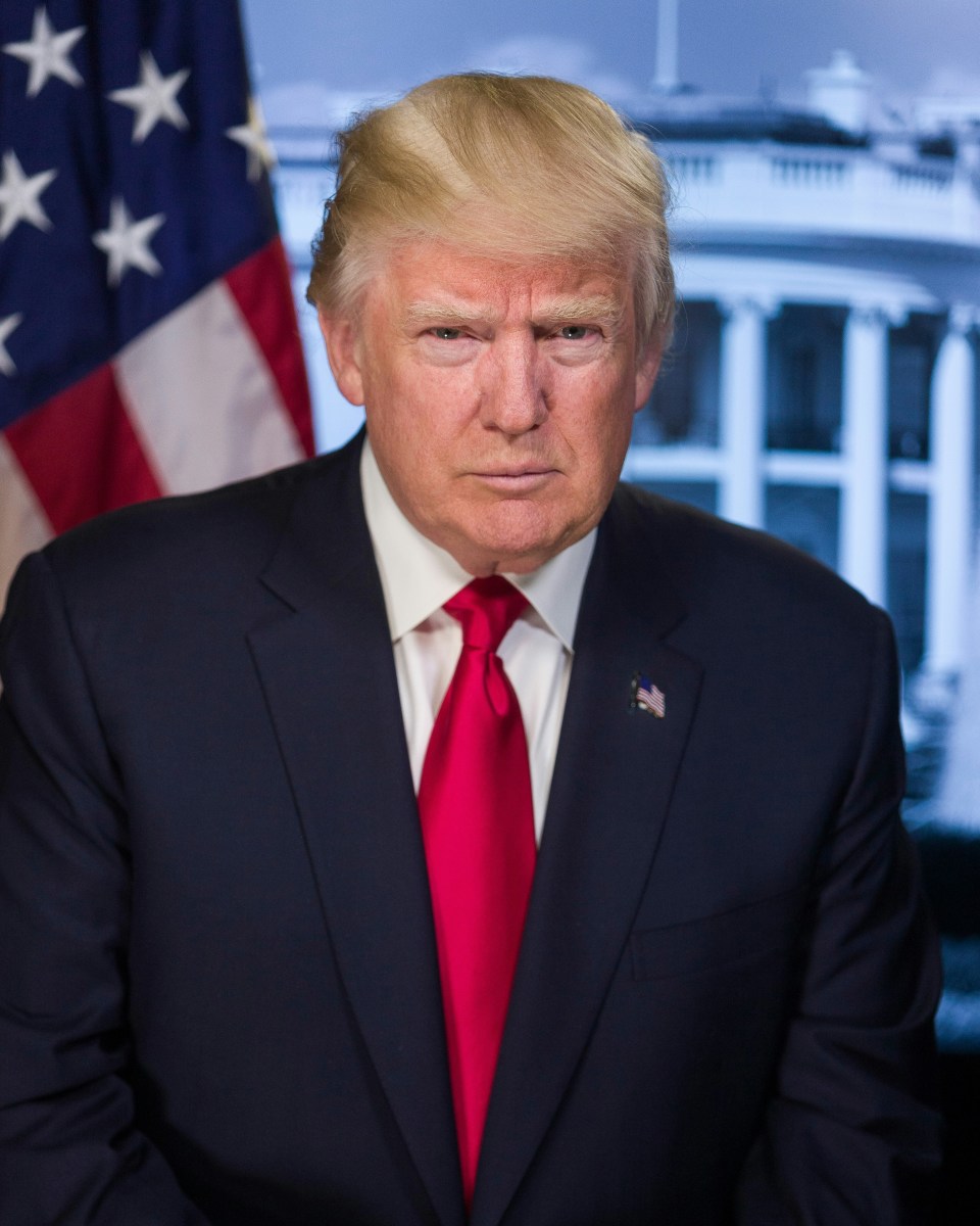 Three Reasons You Should Vote For Donald Trump