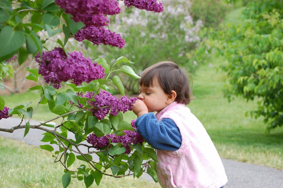 Sensory Gardens: Create Your Own Eden