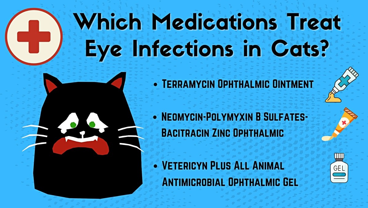 Home remedies fashion for cat cataracts