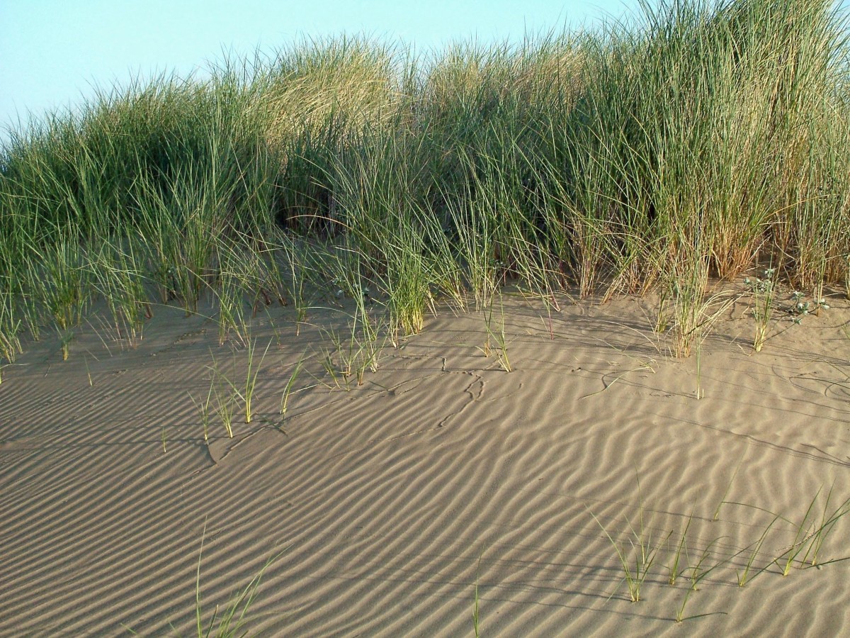 A Tour of Ft. Clinch State Park, FL with Video Tours