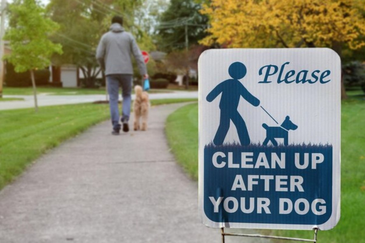 Coming Up Sweet Smelling of Roses Not Dog Dirt Every Where On the Pavement On Your Shoe Clean Up After Your Pets