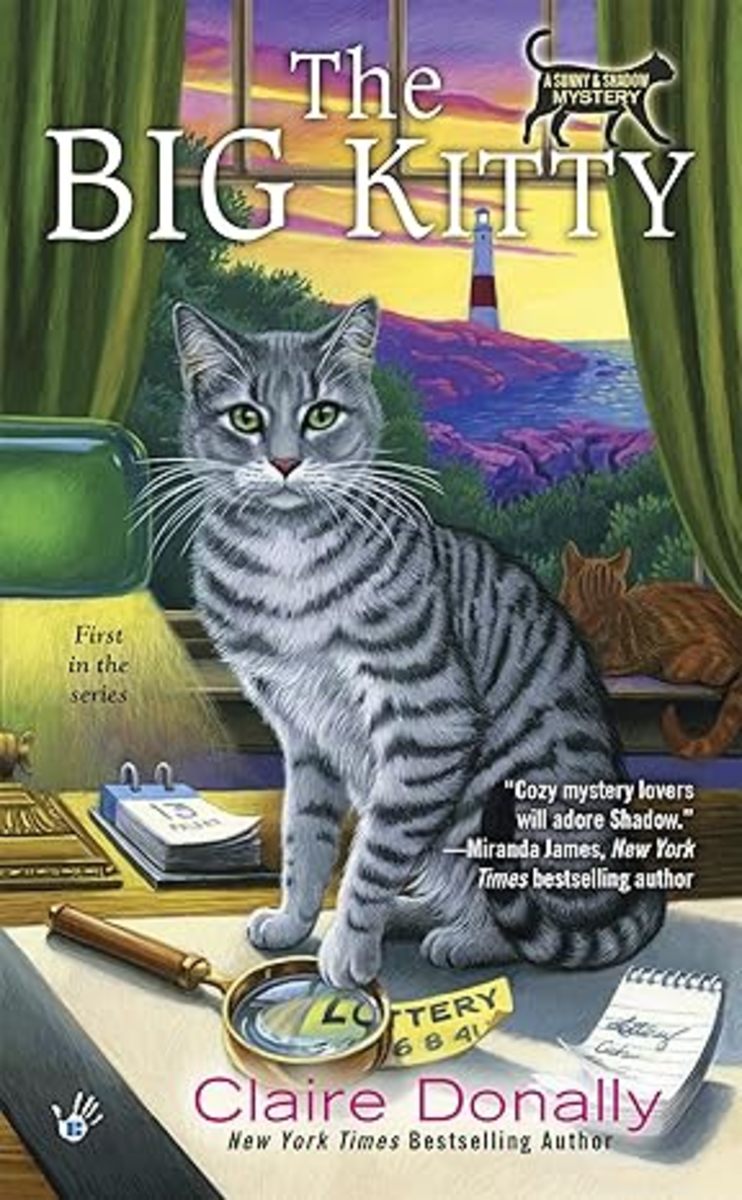 Retro Reading: The Big Kitty by Claire Donally