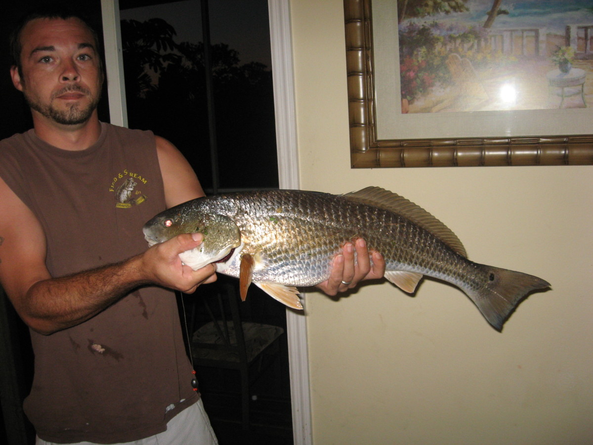 Saltwater Fishing: Mexico Beach, Florida