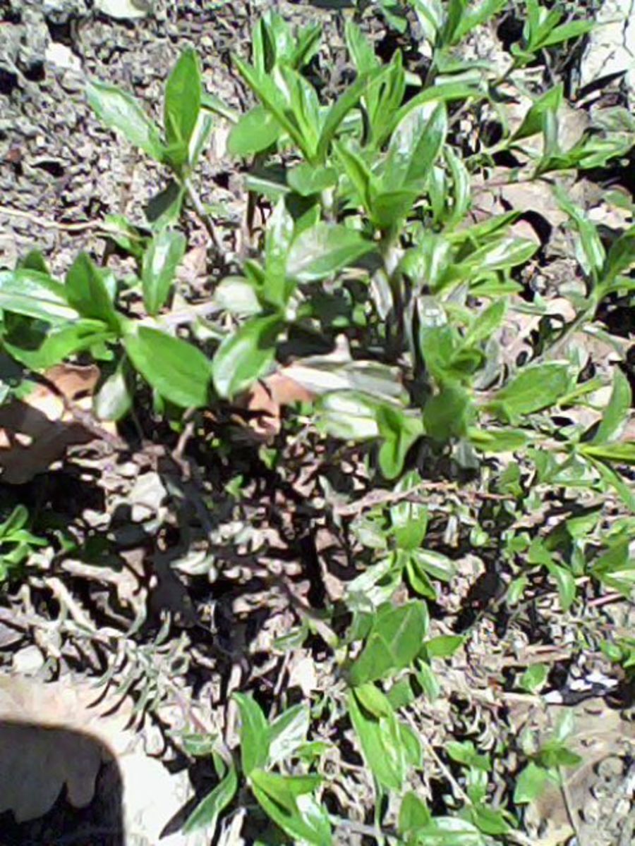 What Experience Changed Your Life