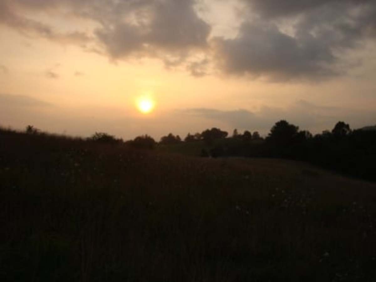 An Unlikely Story in the Book of Ruth