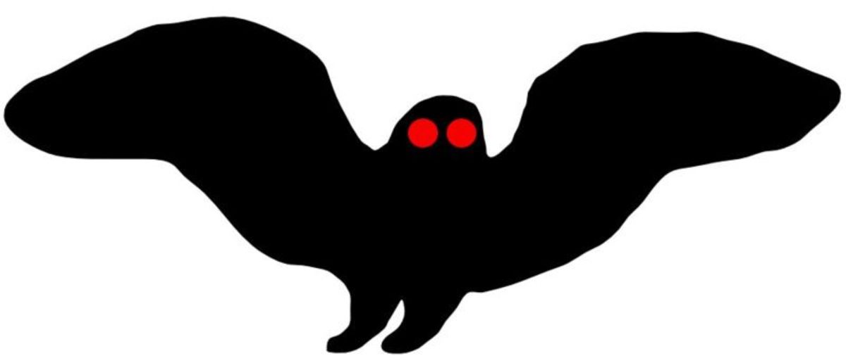 The Mystery of Mothman