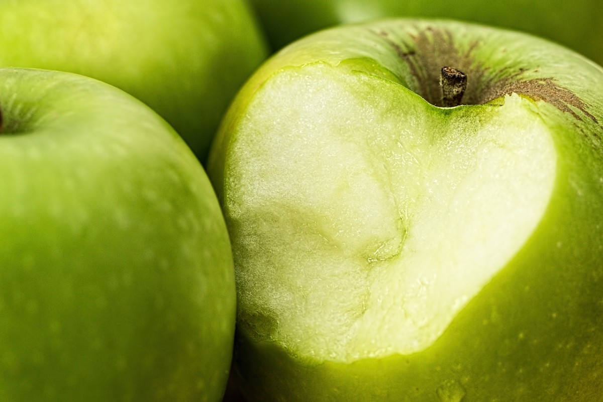 Facts About Apples Description Varieties And Uses HubPages