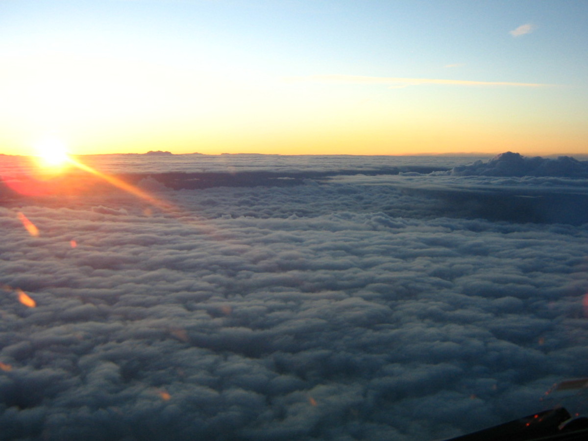 Why Don't Airlines Allow Cell Phone Use During Flights?