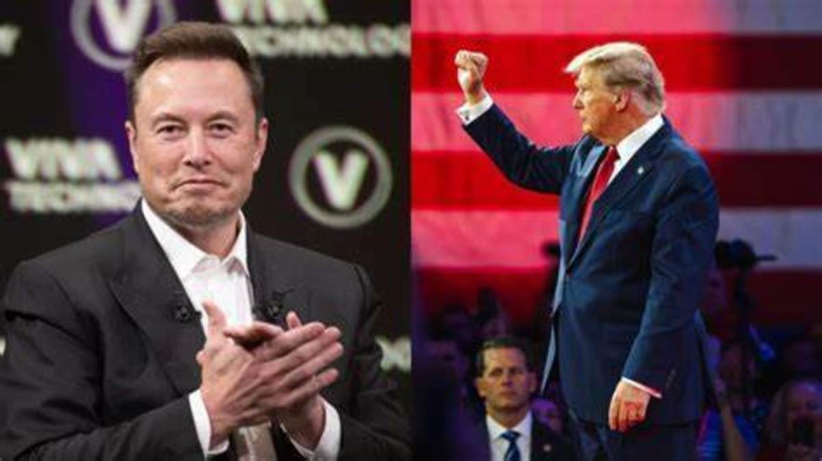 Elon Musk Will Run the Country