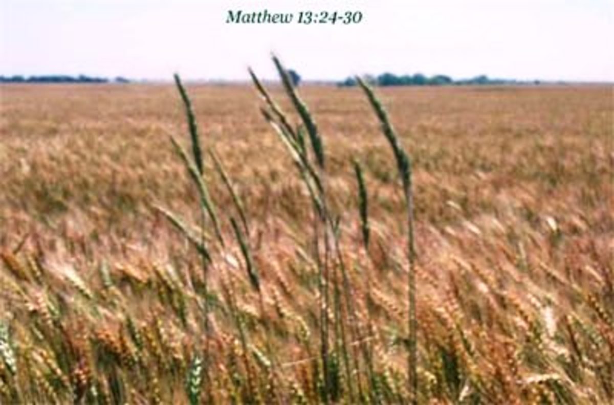 Christians Are the Minority in Most Congregations