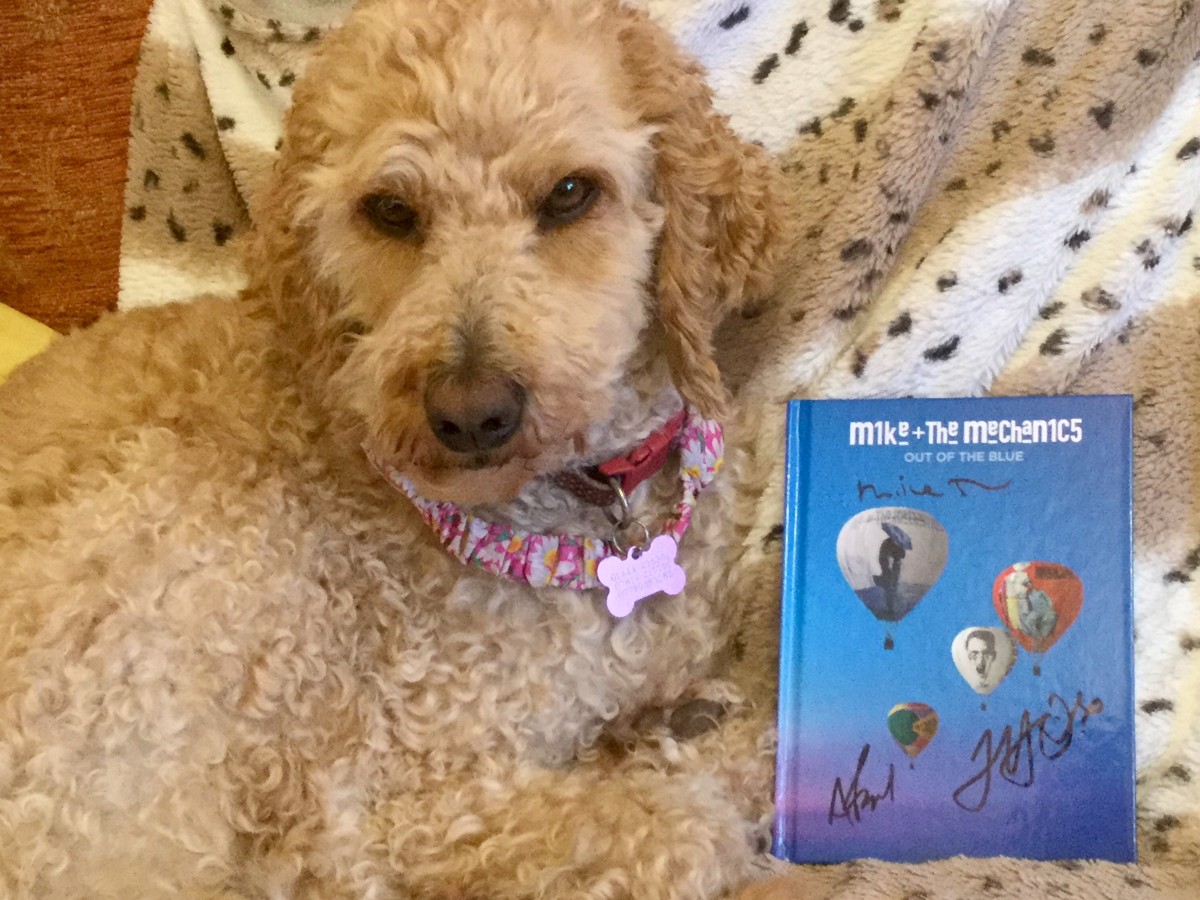 Mike + the Mechanics: Out of the Blue - Album Review