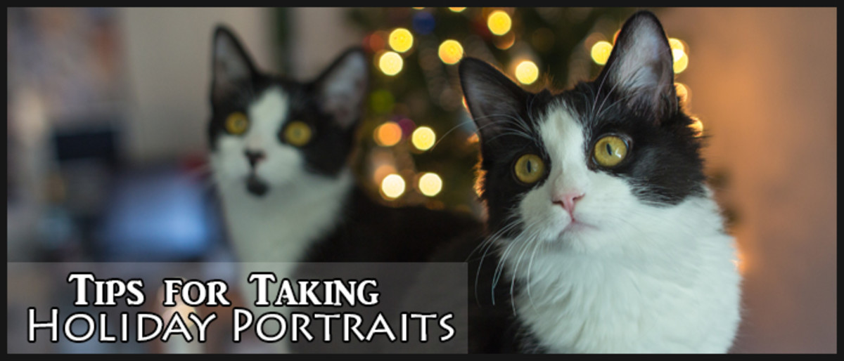 Tips for Taking Holiday Portraits