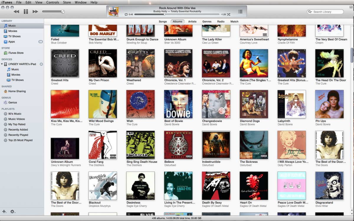 How To Sort & Organize iTunes