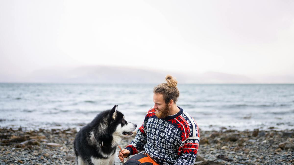 Pet-Friendly Travel: Enjoy a Vacation with Your Furry Pal