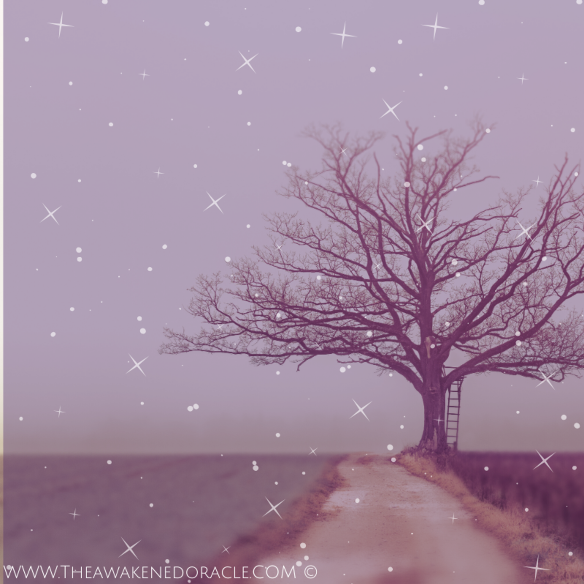 The Toxicity of the Ghosting Culture