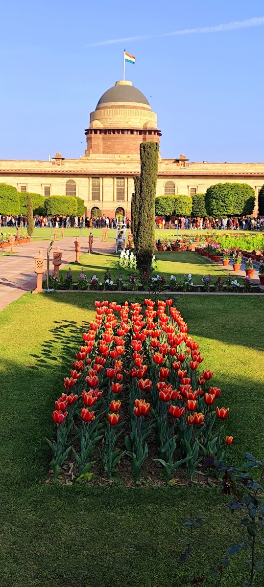 Amrit Udyan: The Iconic Garden at the Rashtrapati Bhavan, Delhi