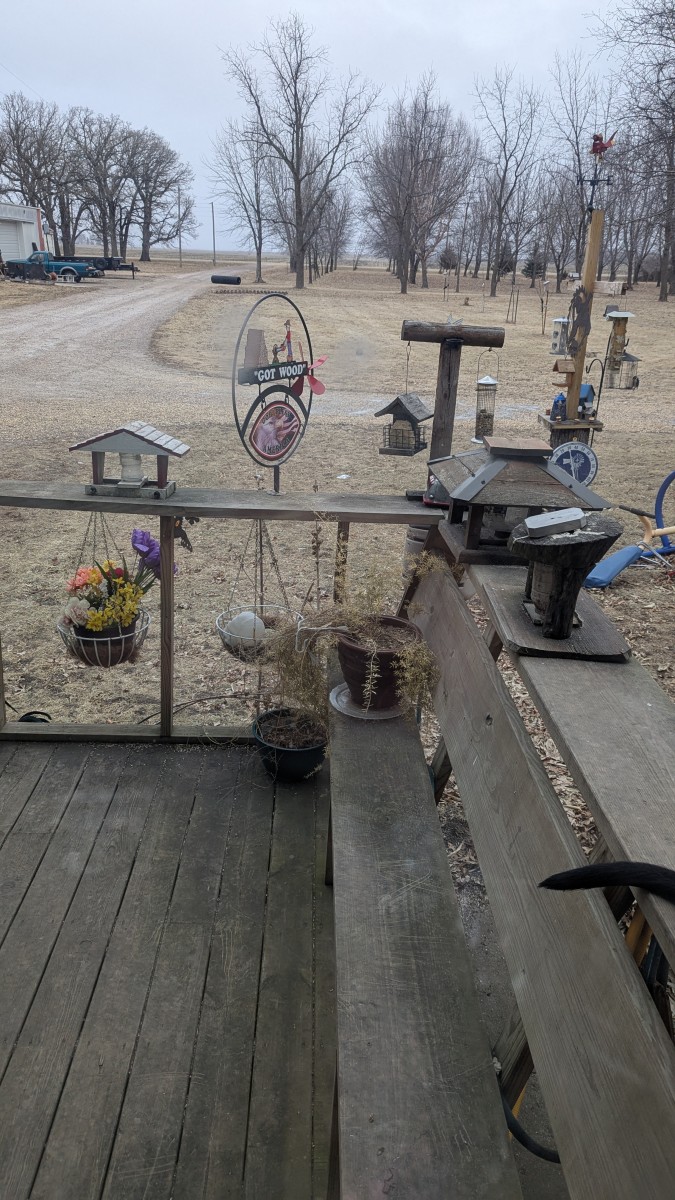 Bird Feeder Filling - Hurry, Birds are Waiting