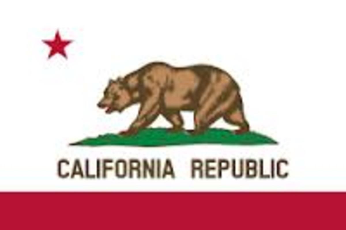 2012: My First Year As A Californian