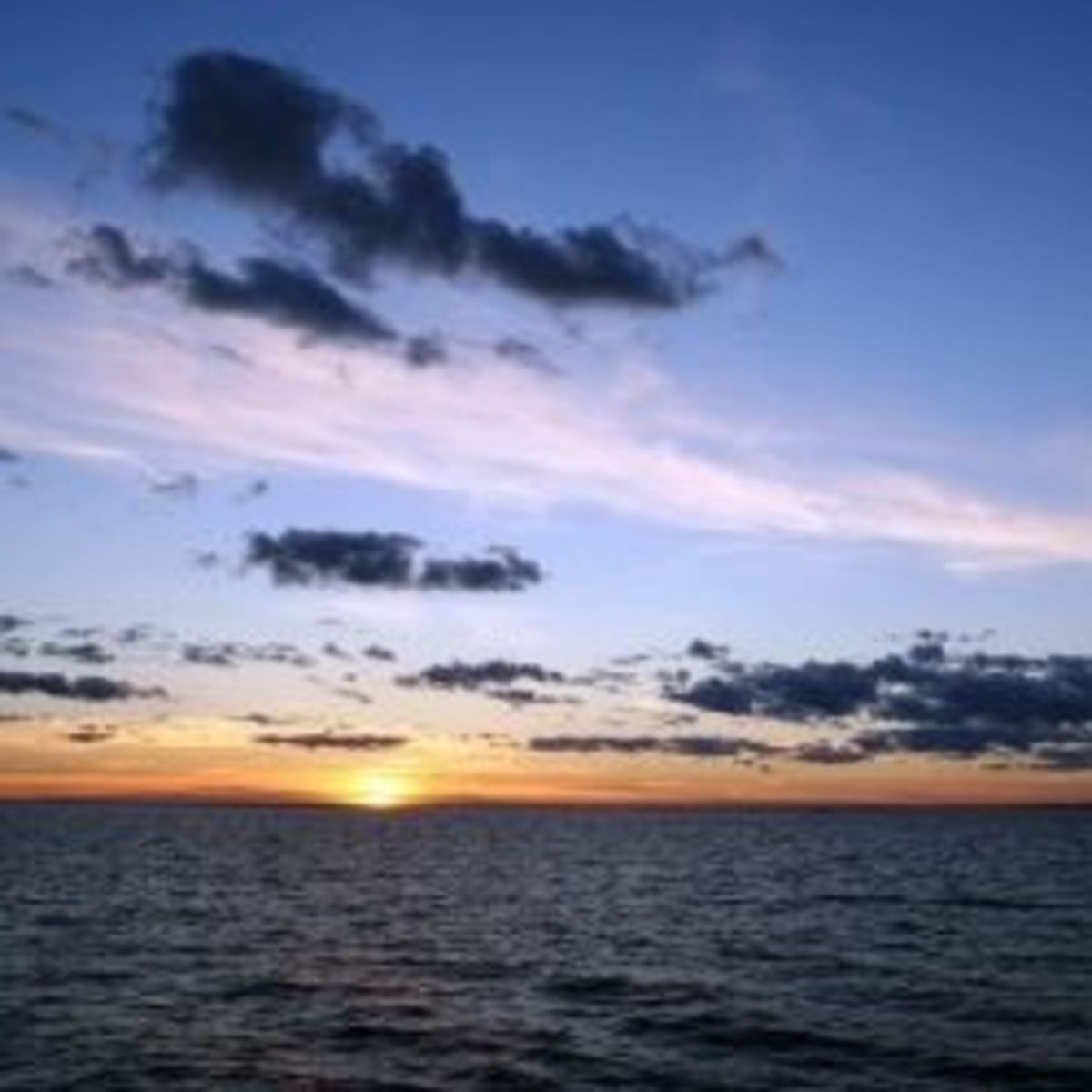 Step Out on Faith - Bible Study Discussion Guide