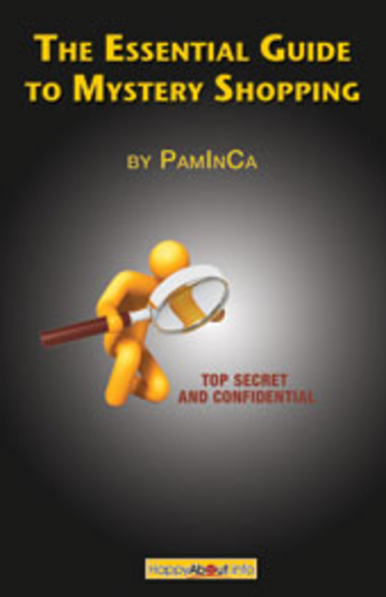 Mystery Shopping Guide Review