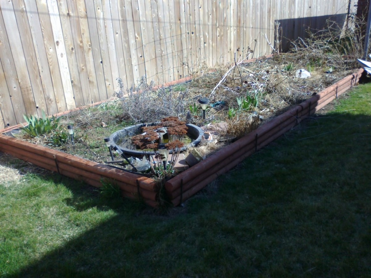 Gardening Tips for Busy People: Easy Spring  Cleanup Garden Project Part One