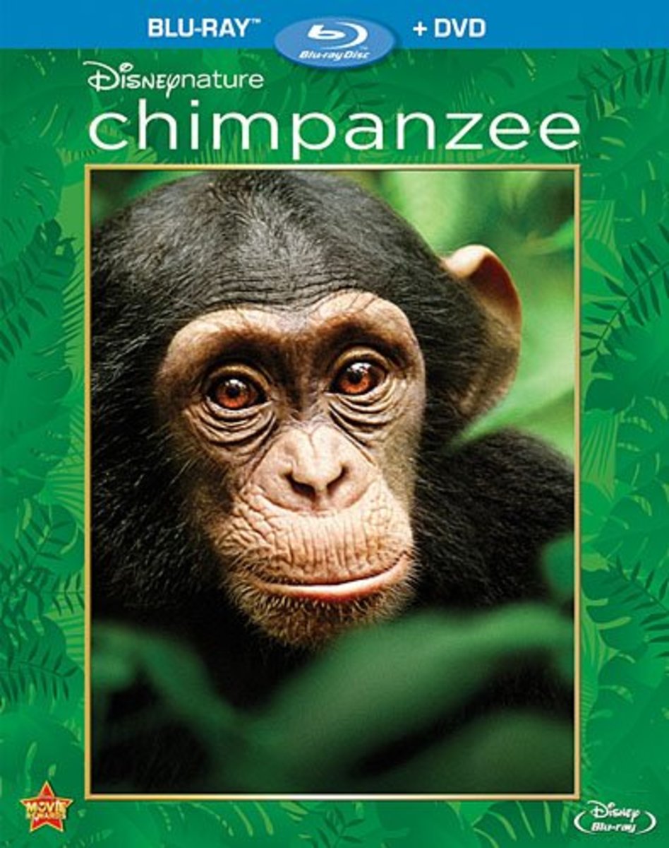 Disneynature's Chimpanzee (2012) Documentary Film