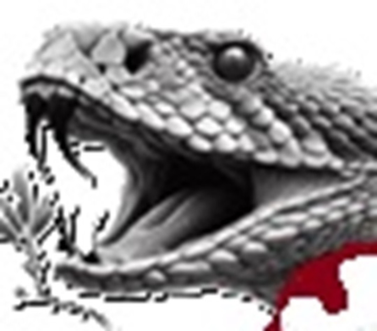 The rattlesnake's nervous system is still active after a mortal wound. AI assisted drawing.