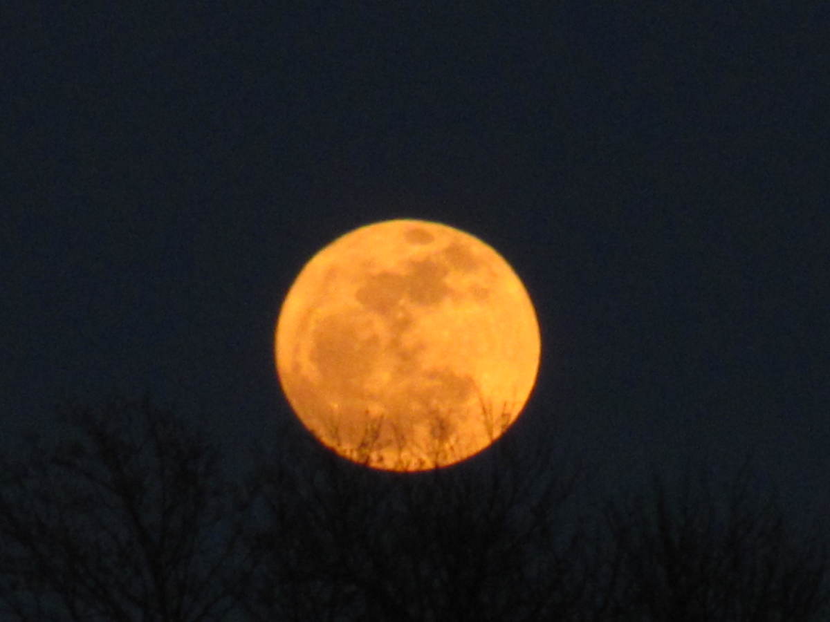This bright orange huge Moon rose after the sun had already set. This bright orange huge Moon rose after the sun had already set.