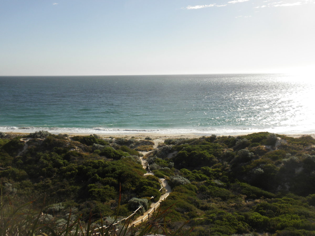 An Equal Music by Vikram Seth